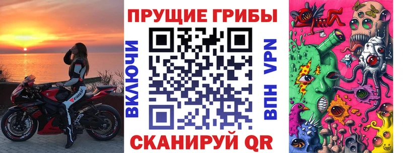как найти наркотики  Шарыпово  Галлюциногенные грибы Cubensis 